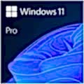 MS WINDOWS 11 PRO 64BIT TR OEM FQC-10556