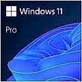 MS WINDOWS 11 PRO 64BIT ENG (OEM) FQC-10528