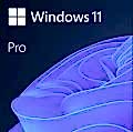 MS WINDOWS 11 PRO TR KUTU HAV-00159